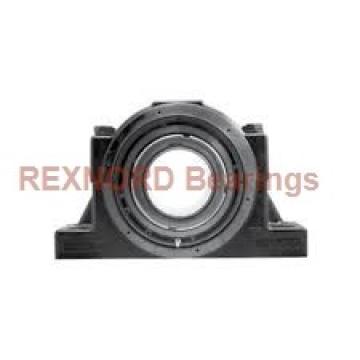 REXNORD MBR2203A43  Flange Block Bearings