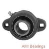 AMI KHR206  Insert Bearings Cylindrical OD #1 small image