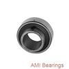 AMI UK210+HA2310  Insert Bearings Spherical OD