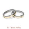 RIT BEARING 6006-2RS1 Bearings #1 small image
