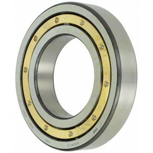 SKF Spare Parts 6304 2rsh/C3 6305 2RS1 6006 2RS1 & FAG 61907 2rsr 6205 2rsr C3 6206 2rsr Deep Groove Ball Bearing for Agriculture/Machinery/Motorcycle #1 image