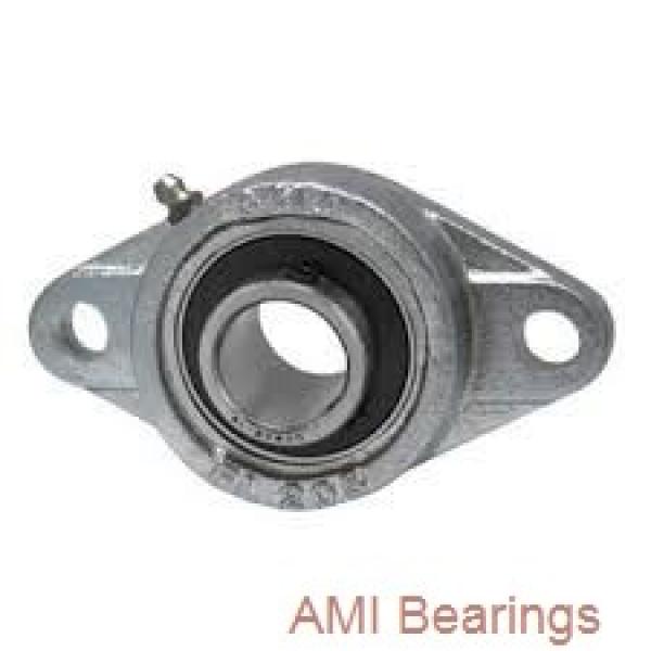 AMI UKFL206+HE2306  Flange Block Bearings #1 image