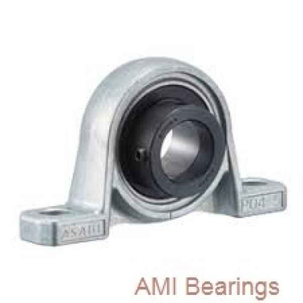 AMI UENFL206-20B  Flange Block Bearings #1 image