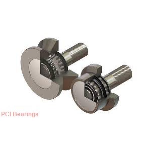 PCI PTR-2.00-SS-316586 Bearings  #3 image