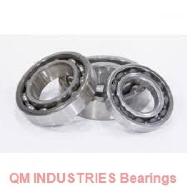 QM INDUSTRIES CF20  Mounted Units & Inserts #1 image