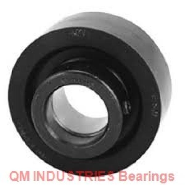 QM INDUSTRIES CK09T040S  Mounted Units & Inserts #2 image