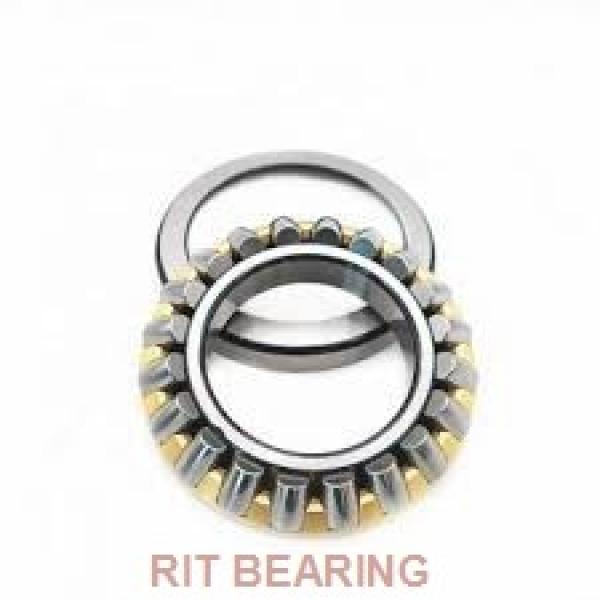 RIT BEARING 6012 2RS  Single Row Ball Bearings #1 image
