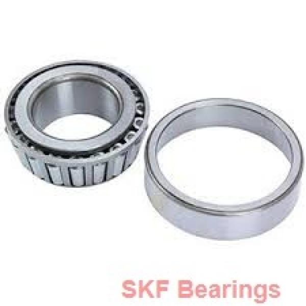 SKF 1219 K + H 219 self aligning ball bearings #1 image